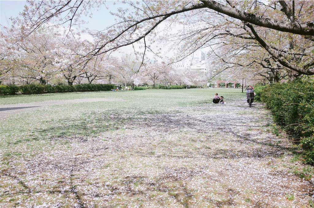 f:id:sweeteatime:20200417002007j:plain
