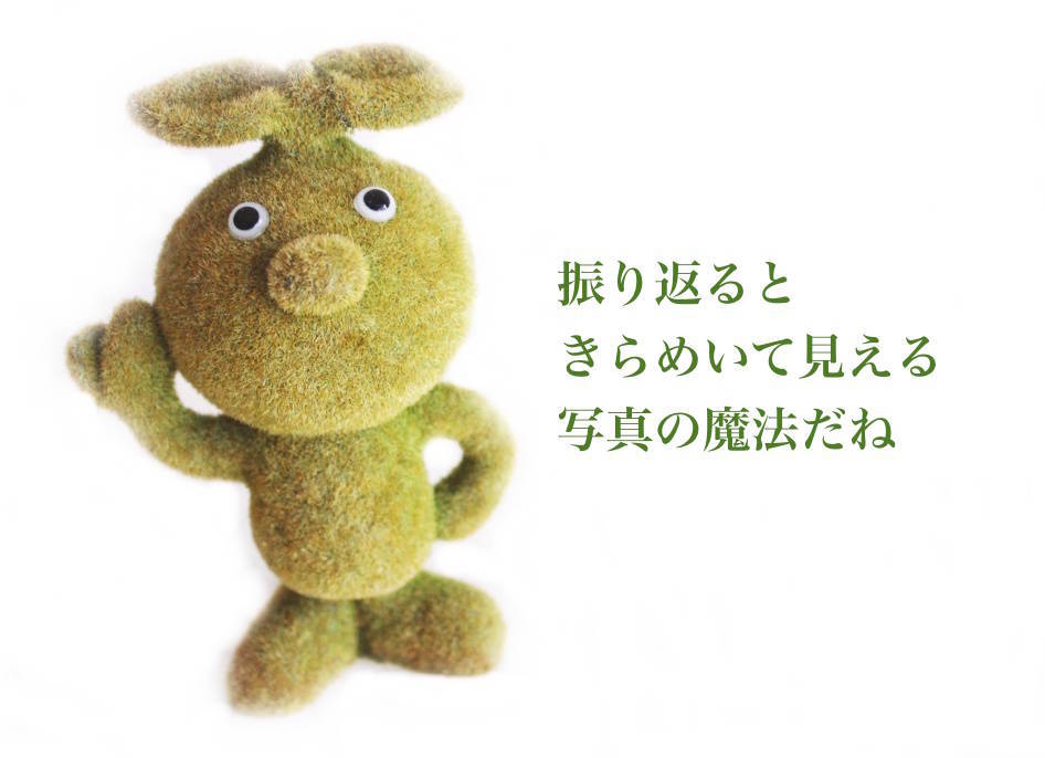 f:id:sweeteatime:20201022165204j:plain