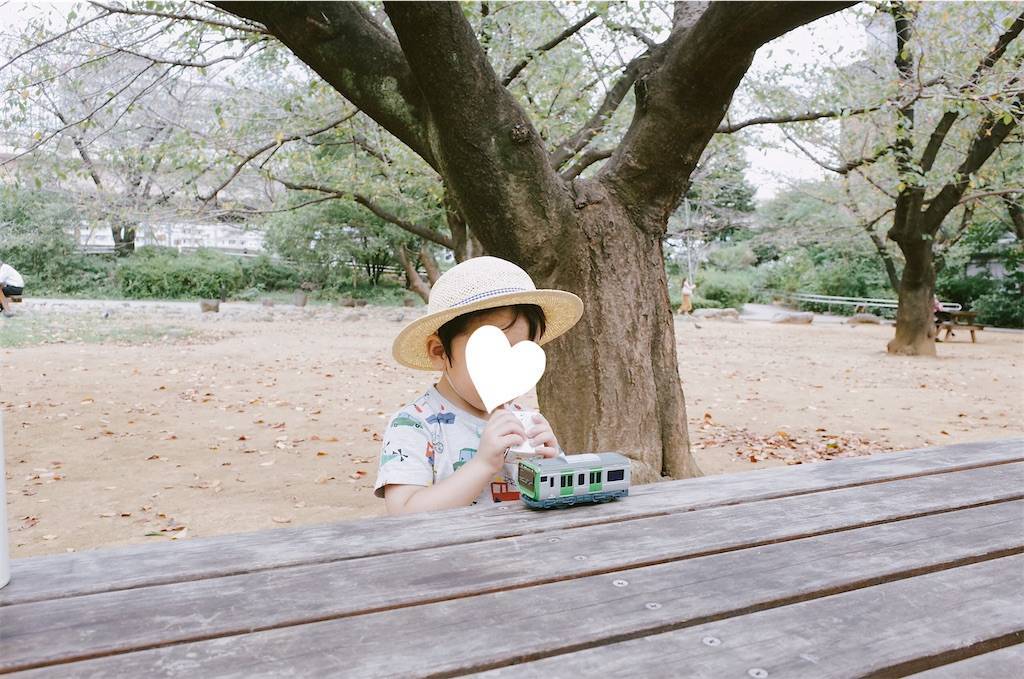 f:id:sweeteatime:20201024170528j:plain
