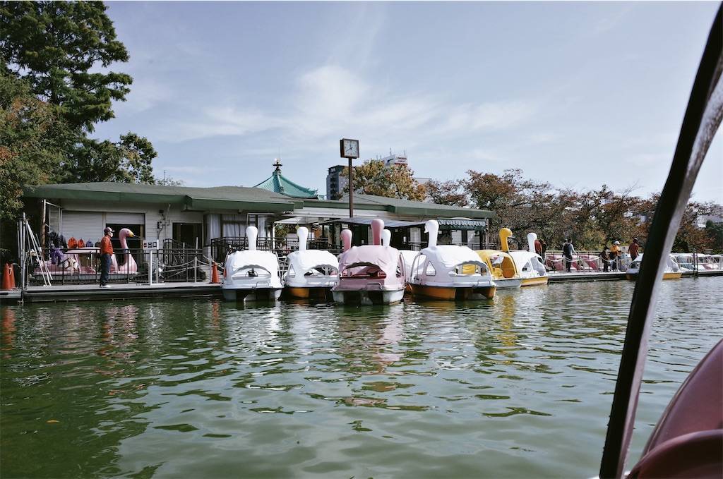 f:id:sweeteatime:20201103175040j:plain