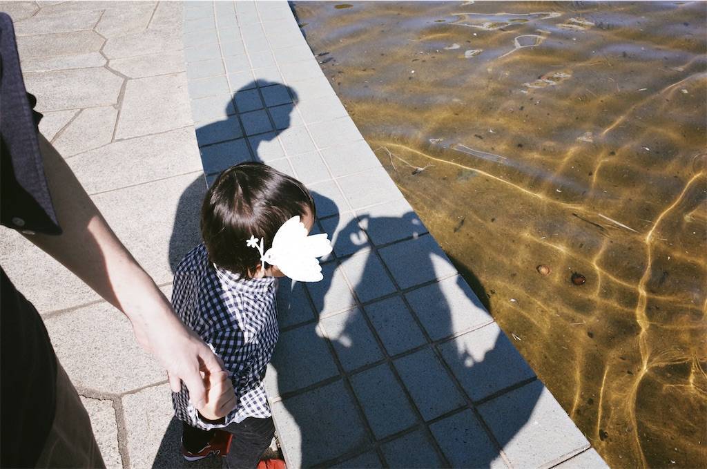 f:id:sweeteatime:20201109161239j:plain