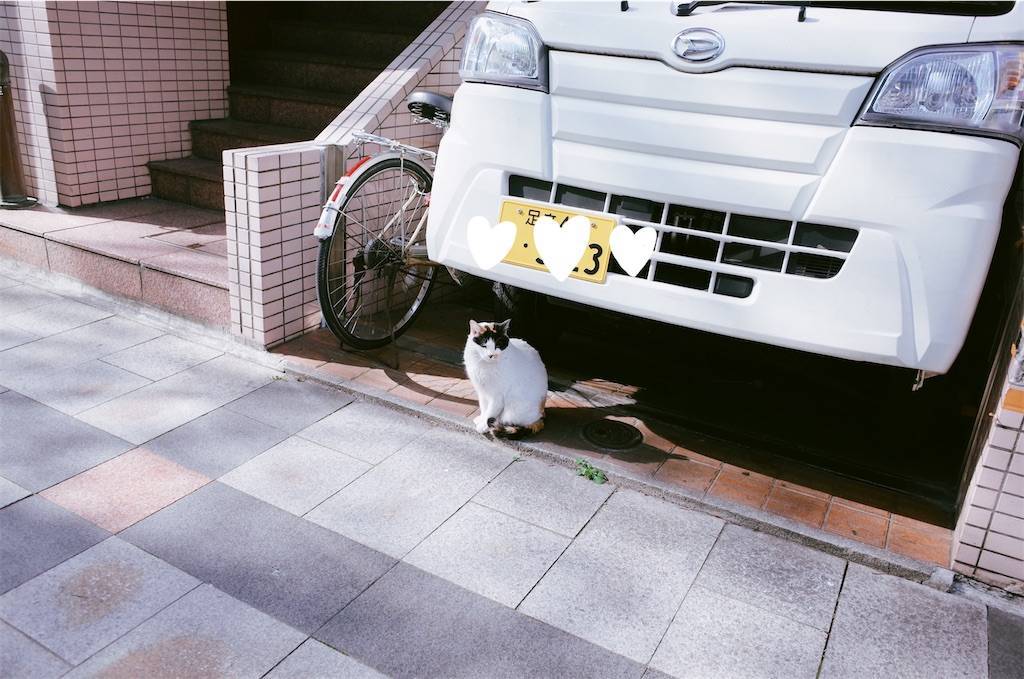 f:id:sweeteatime:20210330003937j:plain