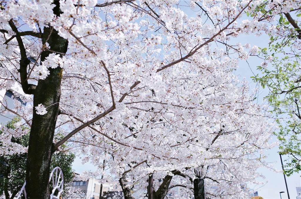 f:id:sweeteatime:20210330004103j:plain