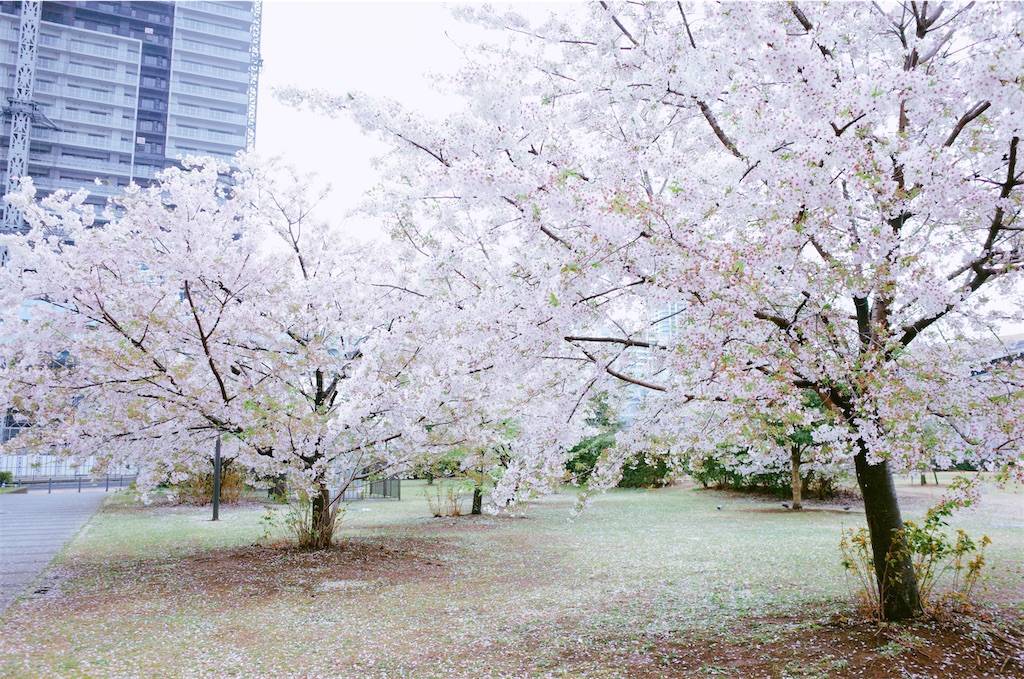 f:id:sweeteatime:20210402004037j:plain