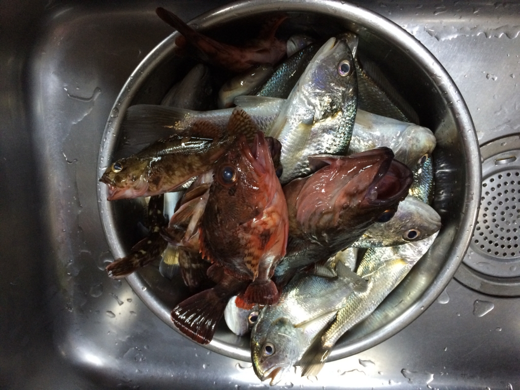 f:id:sweetfigjam:20160705203311j:plain