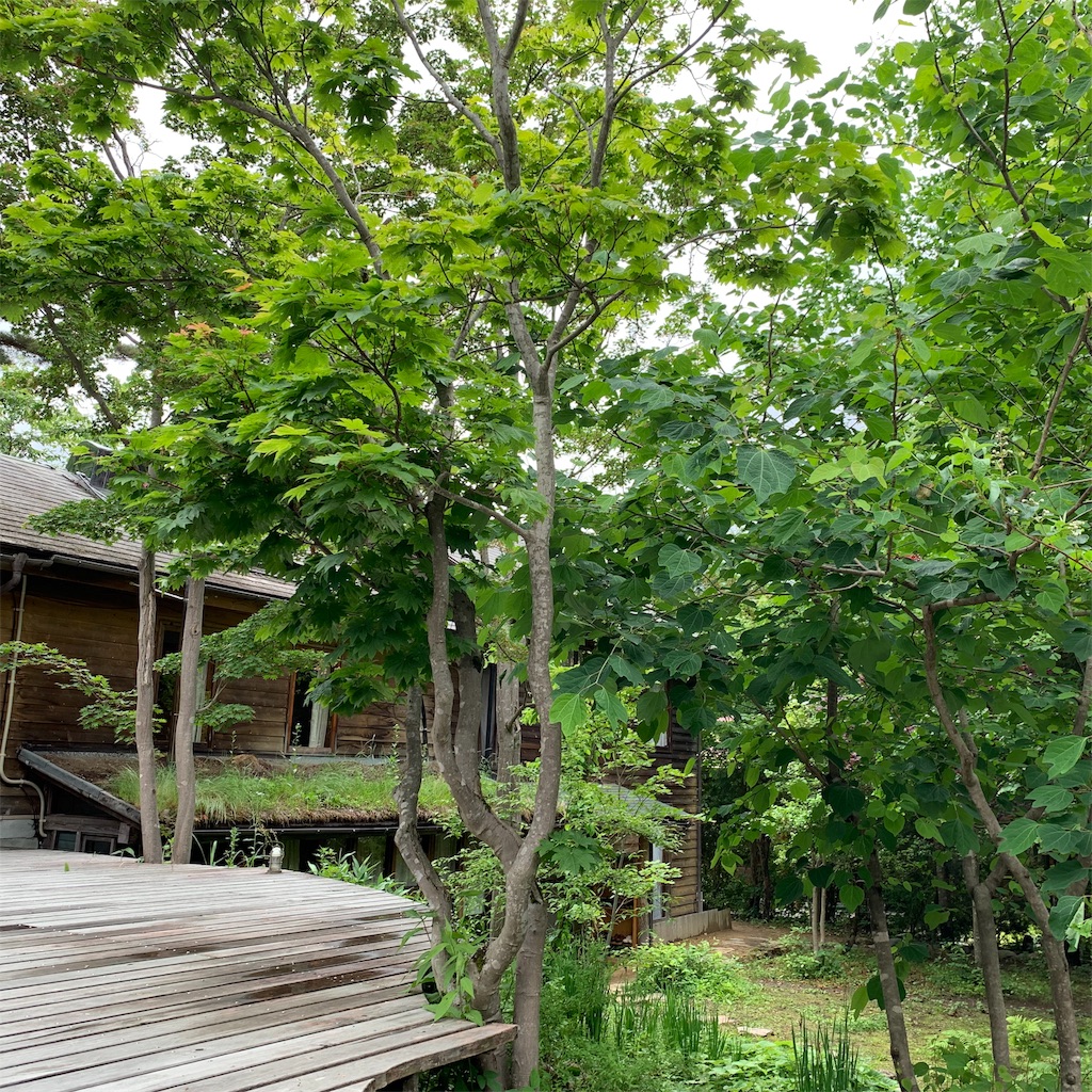 f:id:sweetmariarose:20190608220252j:image f:id:sweetmariarose:20190608220252j:image