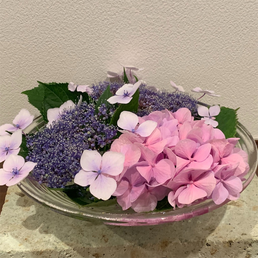 f:id:sweetmariarose:20190624161705j:image f:id:sweetmariarose:20190624161705j:image
