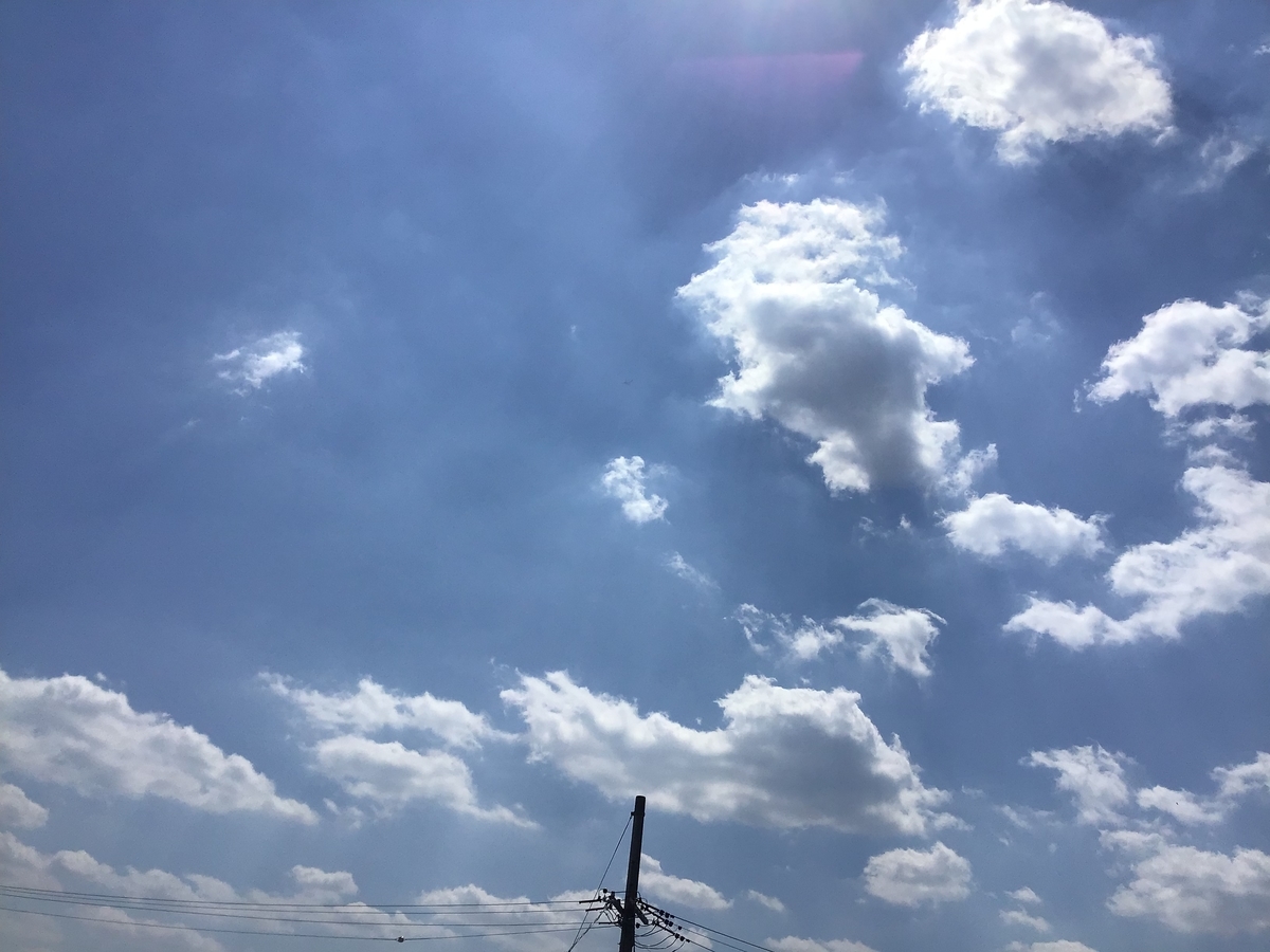 f:id:sweetmoondrop:20190404174158j:plain