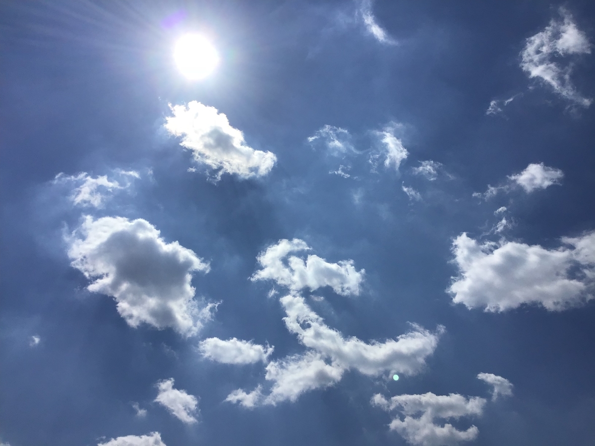 f:id:sweetmoondrop:20190404174224j:plain