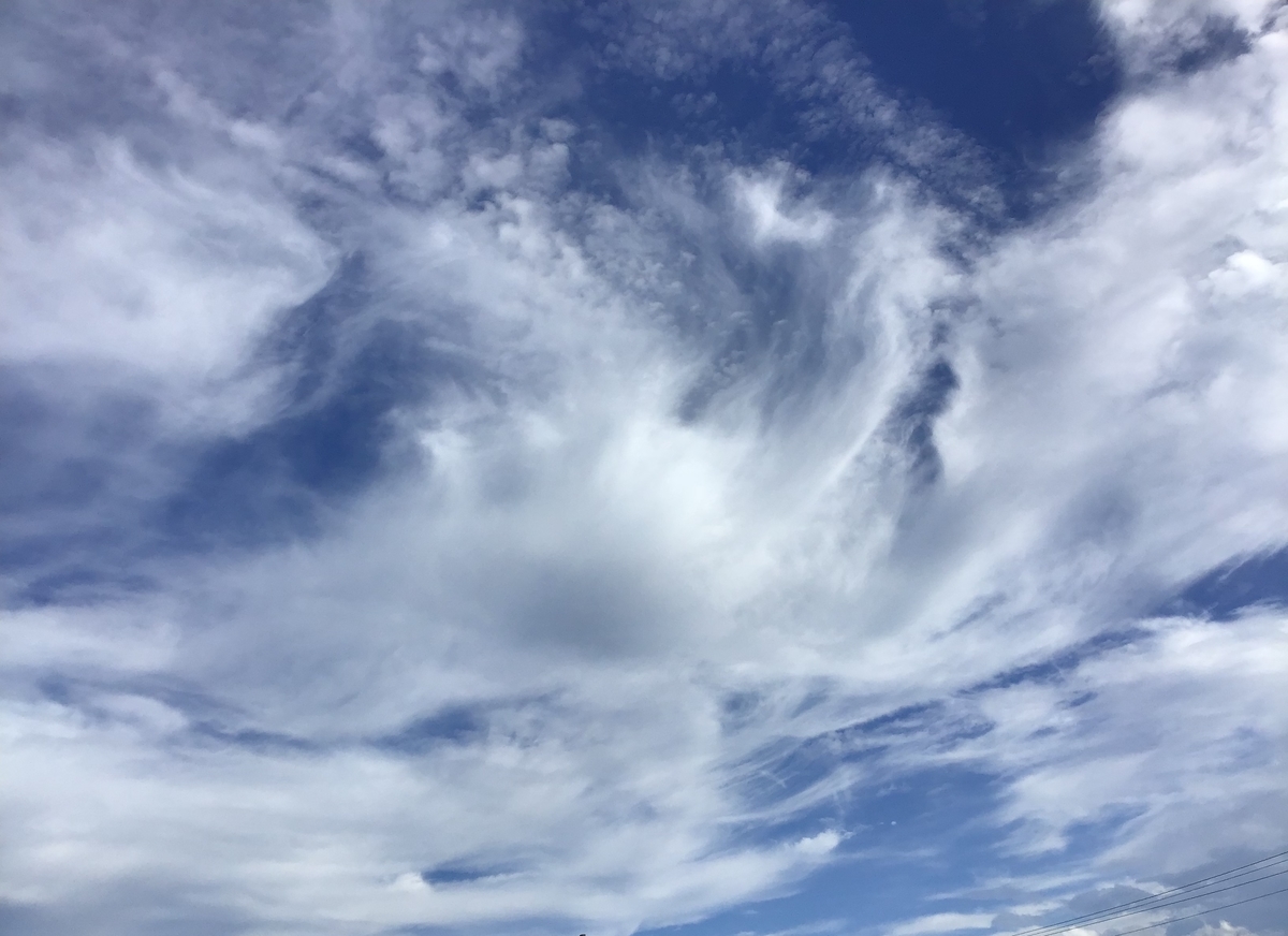 f:id:sweetmoondrop:20190823171548j:plain f:id:sweetmoondrop:20190823171548j:plain