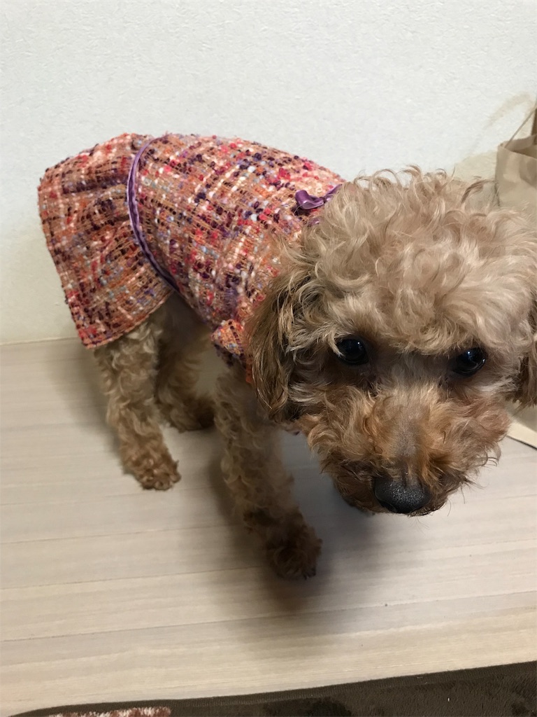 f:id:sweets-junkie:20181212165722j:image f:id:sweets-junkie:20181212165722j:image