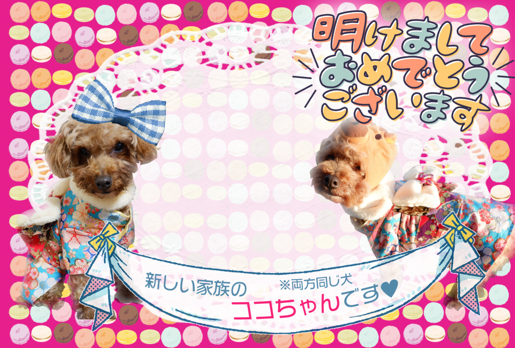 f:id:sweets-junkie:20190112105928p:plain f:id:sweets-junkie:20190112105928p:plain