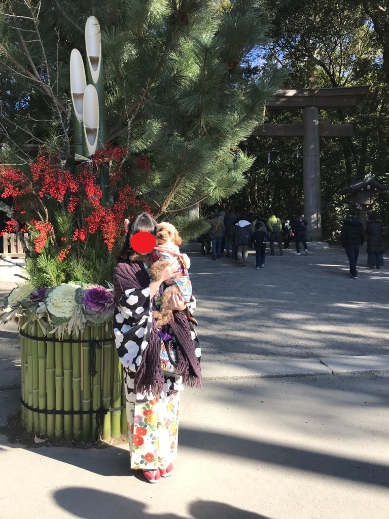 f:id:sweets-junkie:20190112110855j:plain f:id:sweets-junkie:20190112110855j:plain