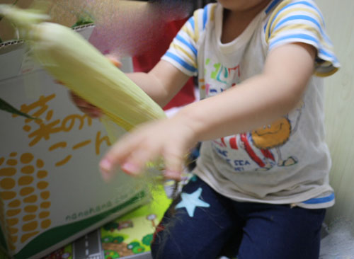 めぐり菜の【おおもの】←とうもろこしデス