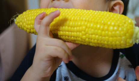 めぐり菜の【おおもの】←とうもろこしデス