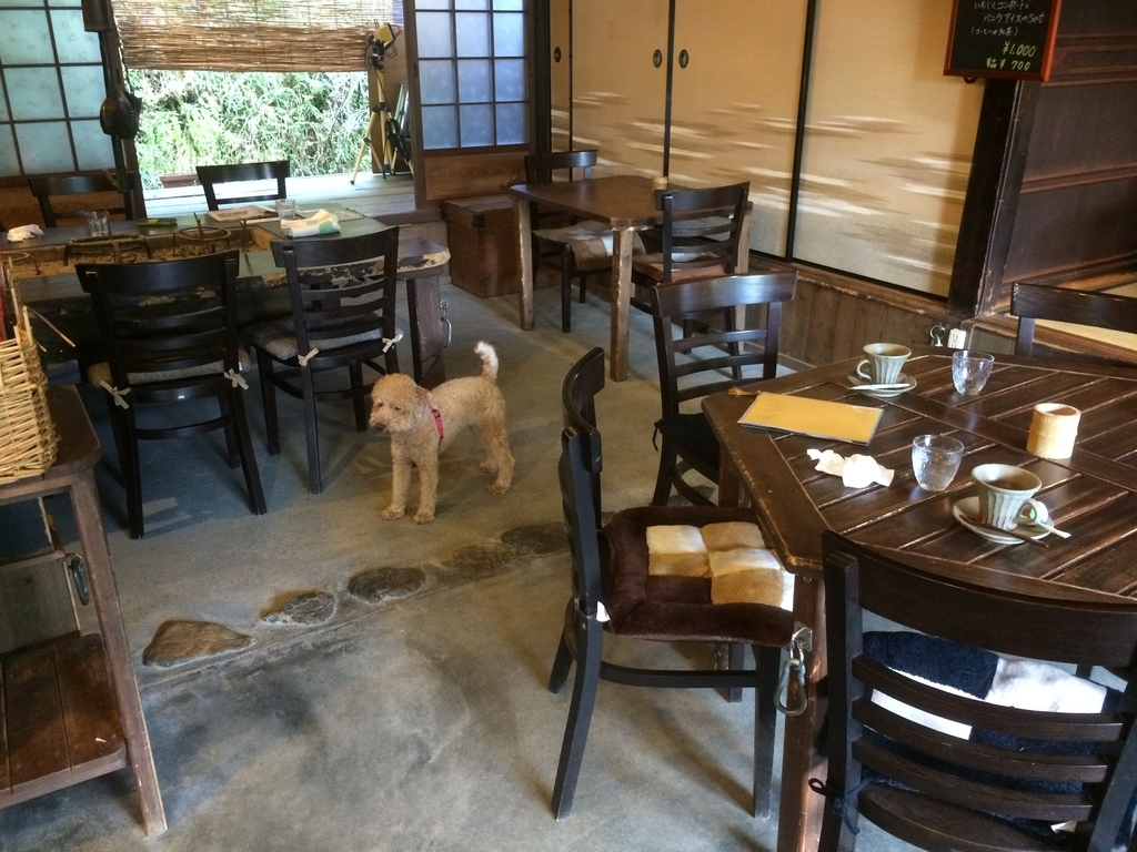 古民家ドッグカフェ おかげさんで 愛犬といつも一緒に出かけたい人間のブログ