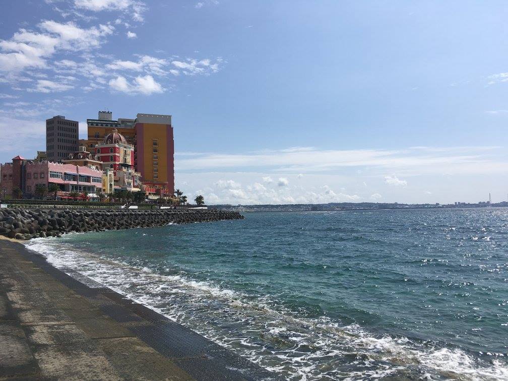 f:id:swimu:20190121135442j:plain f:id:swimu:20190121135442j:plain