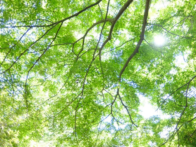 f:id:swing-mizuyo:20170910120020j:image f:id:swing-mizuyo:20170910120020j:image