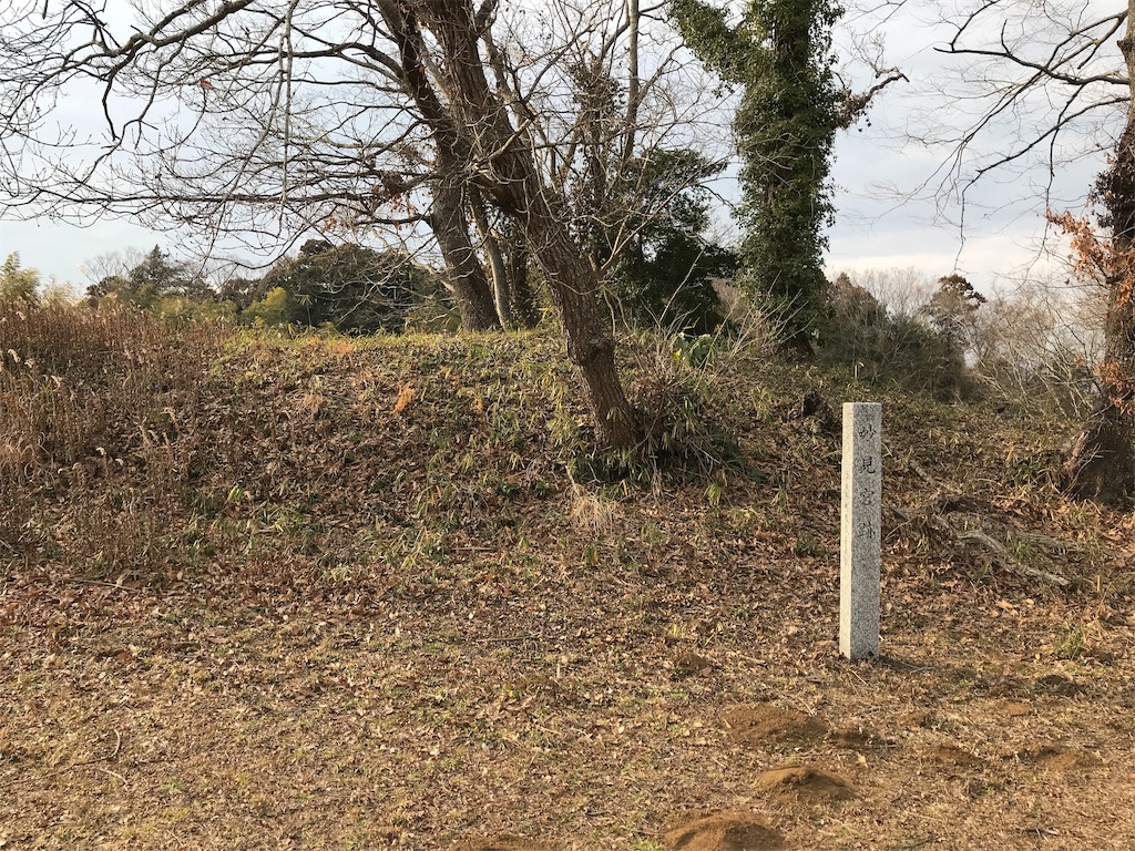 f:id:swinsuke:20190305225132j:image f:id:swinsuke:20190305225132j:image