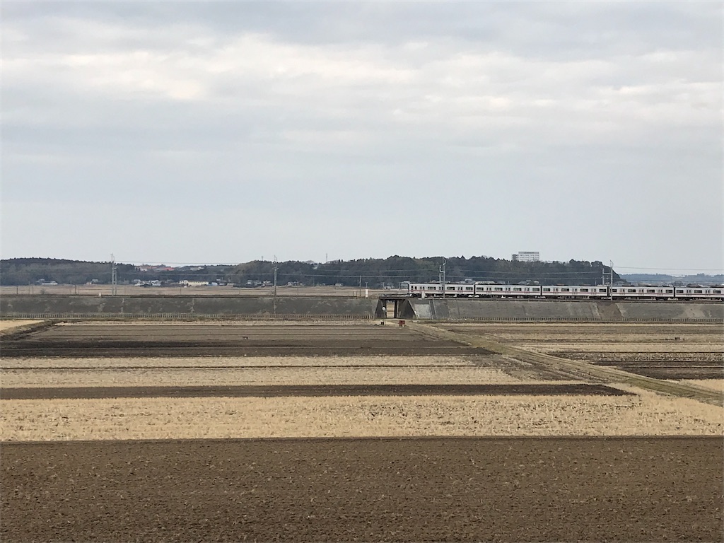 f:id:swinsuke:20190305225139j:image f:id:swinsuke:20190305225139j:image
