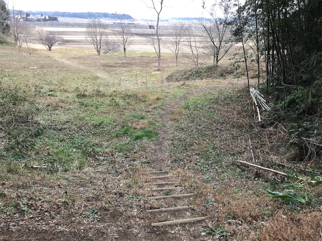 f:id:swinsuke:20190305225206j:image f:id:swinsuke:20190305225206j:image