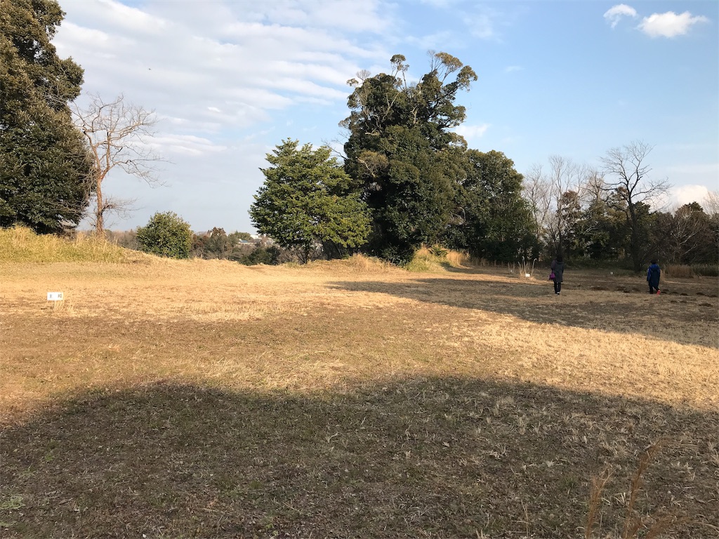 f:id:swinsuke:20190305232755j:image f:id:swinsuke:20190305232755j:image