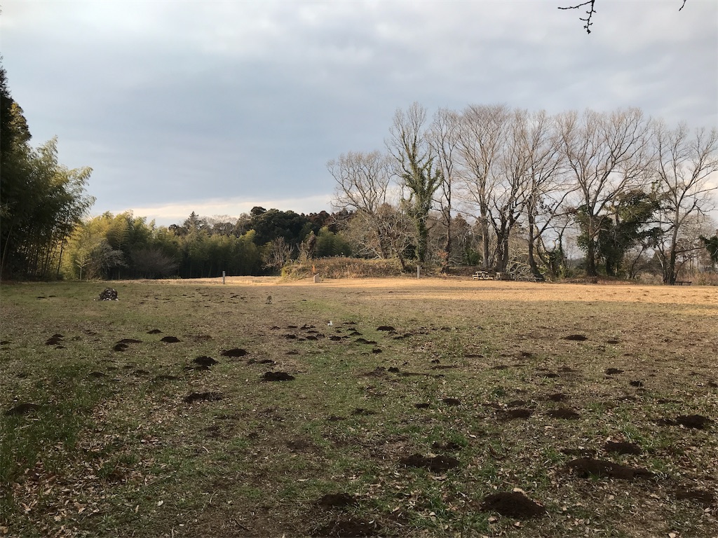 f:id:swinsuke:20190305232804j:image f:id:swinsuke:20190305232804j:image