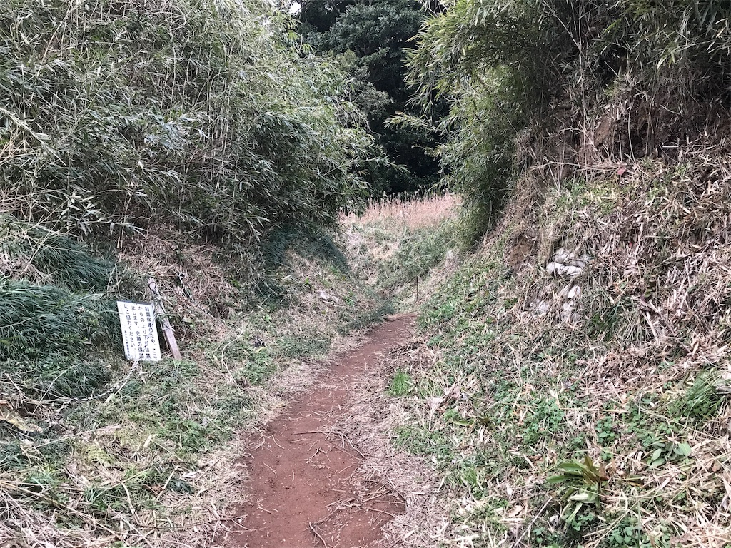 f:id:swinsuke:20190305232814j:image f:id:swinsuke:20190305232814j:image
