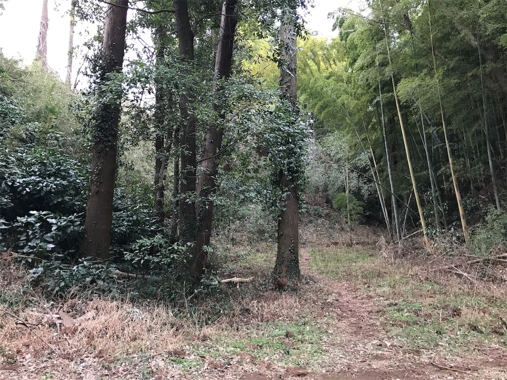 f:id:swinsuke:20190305232834j:image f:id:swinsuke:20190305232834j:image