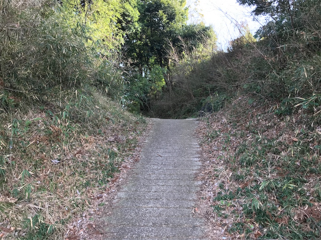 f:id:swinsuke:20190305232931j:image f:id:swinsuke:20190305232931j:image