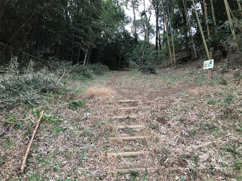f:id:swinsuke:20190305232936j:image f:id:swinsuke:20190305232936j:image
