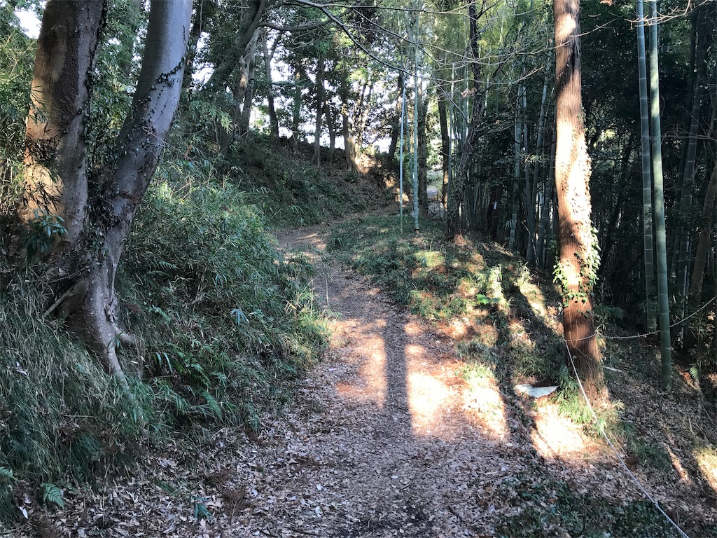f:id:swinsuke:20190305232940j:image f:id:swinsuke:20190305232940j:image