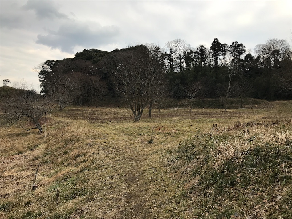 f:id:swinsuke:20190305232944j:image f:id:swinsuke:20190305232944j:image