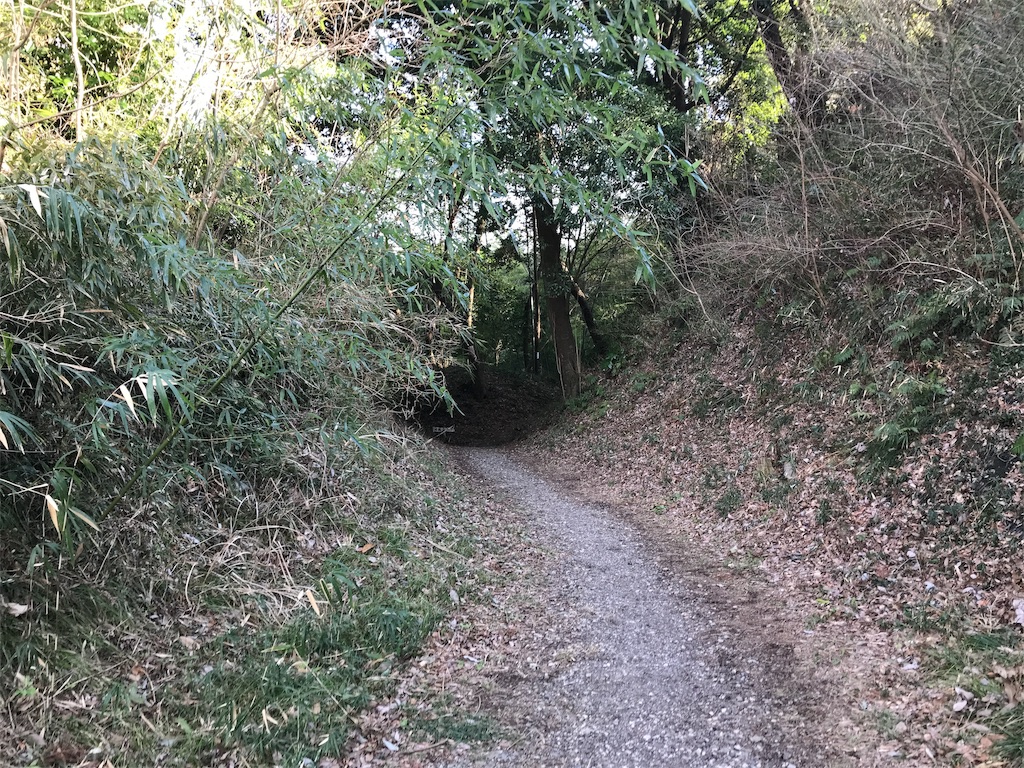 f:id:swinsuke:20190305233511j:image f:id:swinsuke:20190305233511j:image
