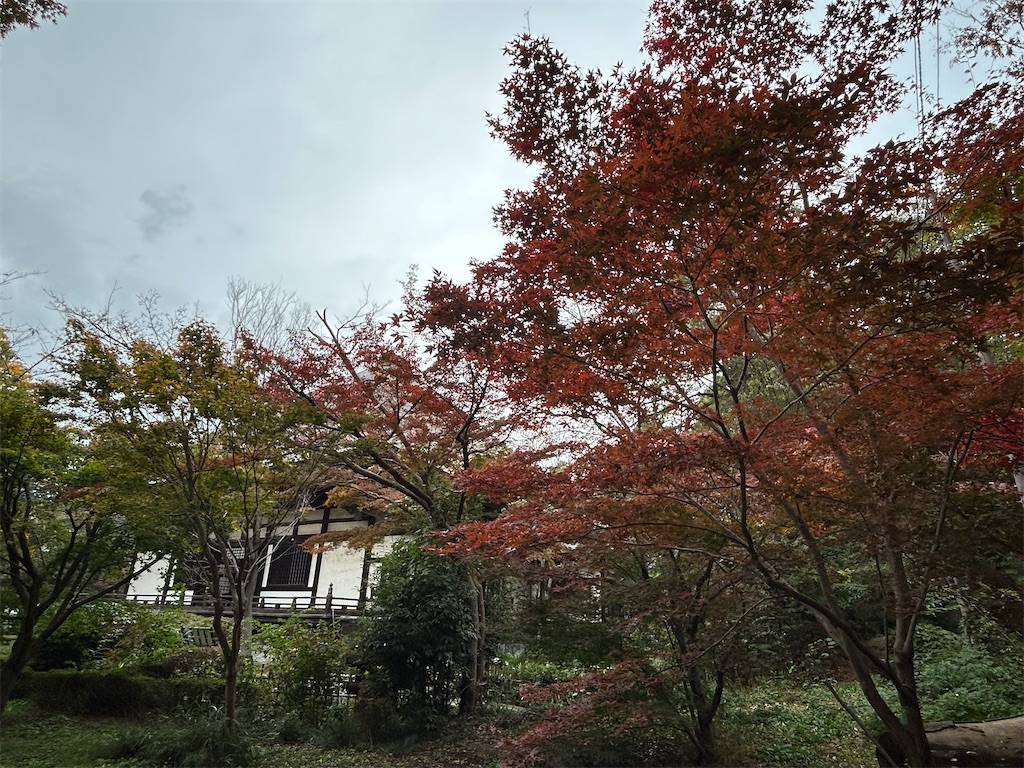 f:id:swinsuke:20241126202727j:image