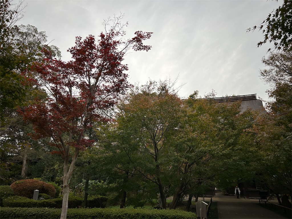 f:id:swinsuke:20241126202741j:image