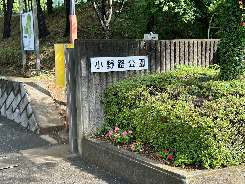 f:id:swinsuke:20250527012838j:image