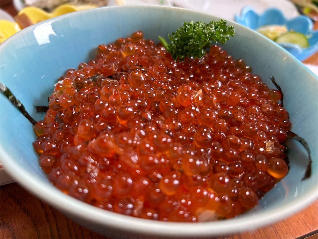 f:id:swinsuke:20250601231436j:image