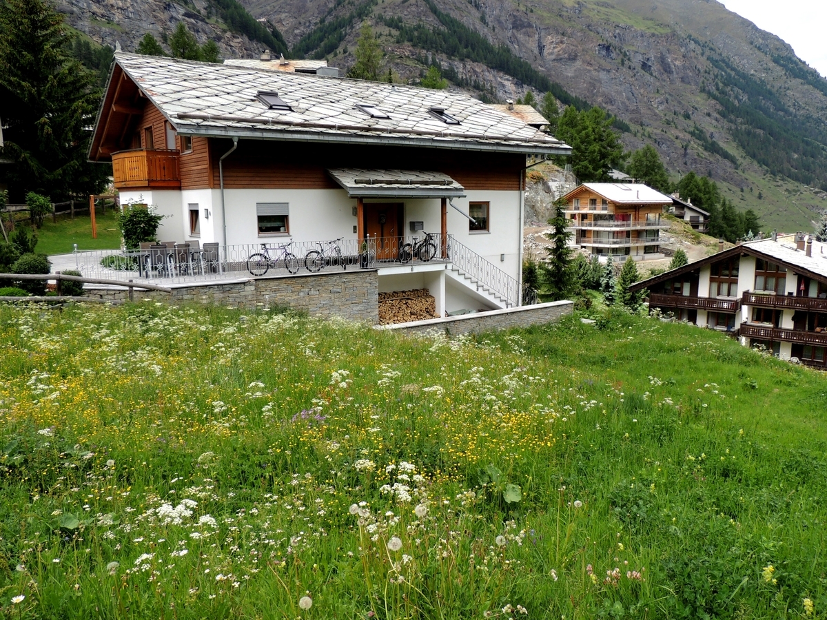 f:id:swiss_suki:20210404155020j:plain