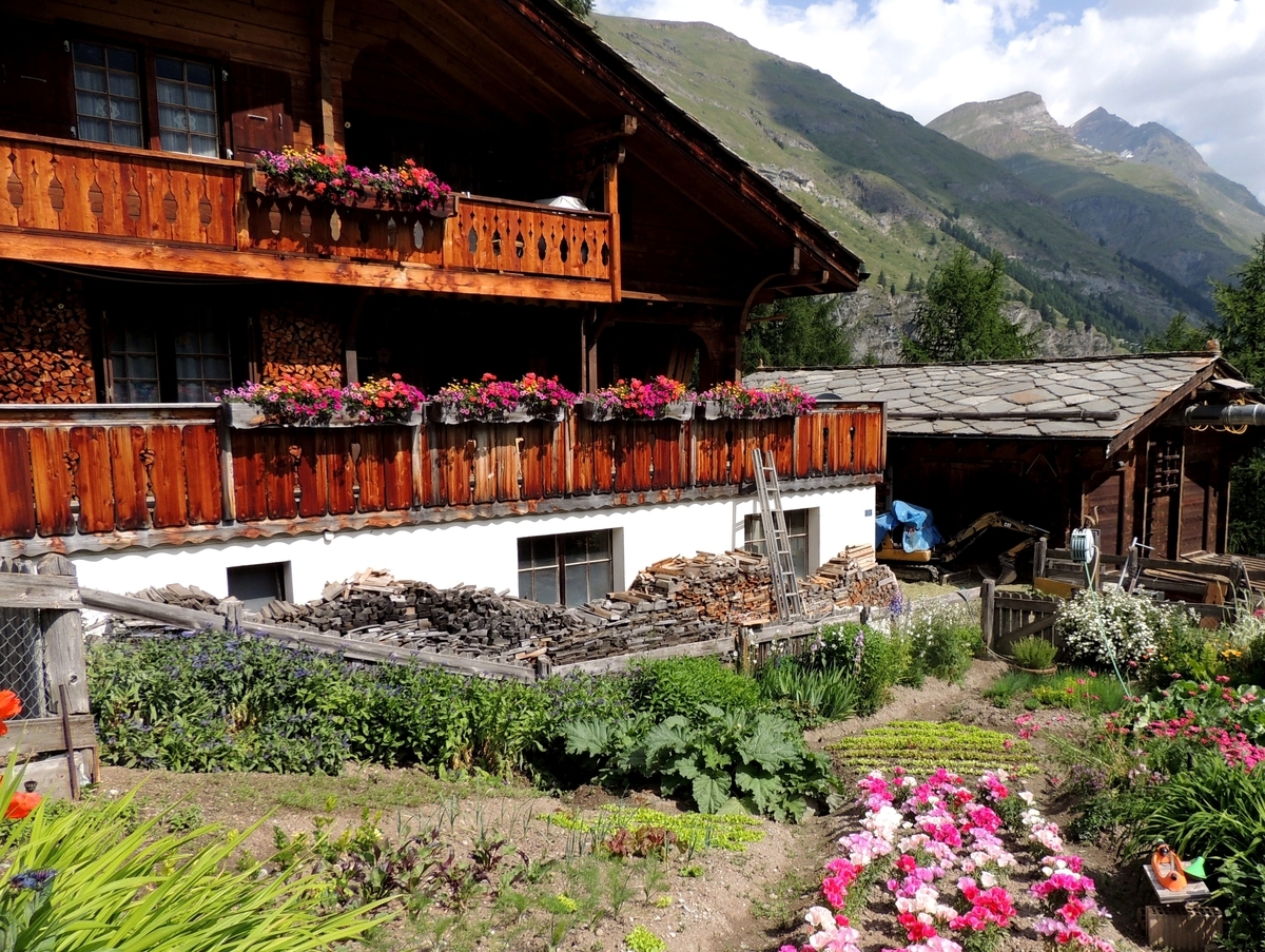 f:id:swiss_suki:20210411142648j:plain