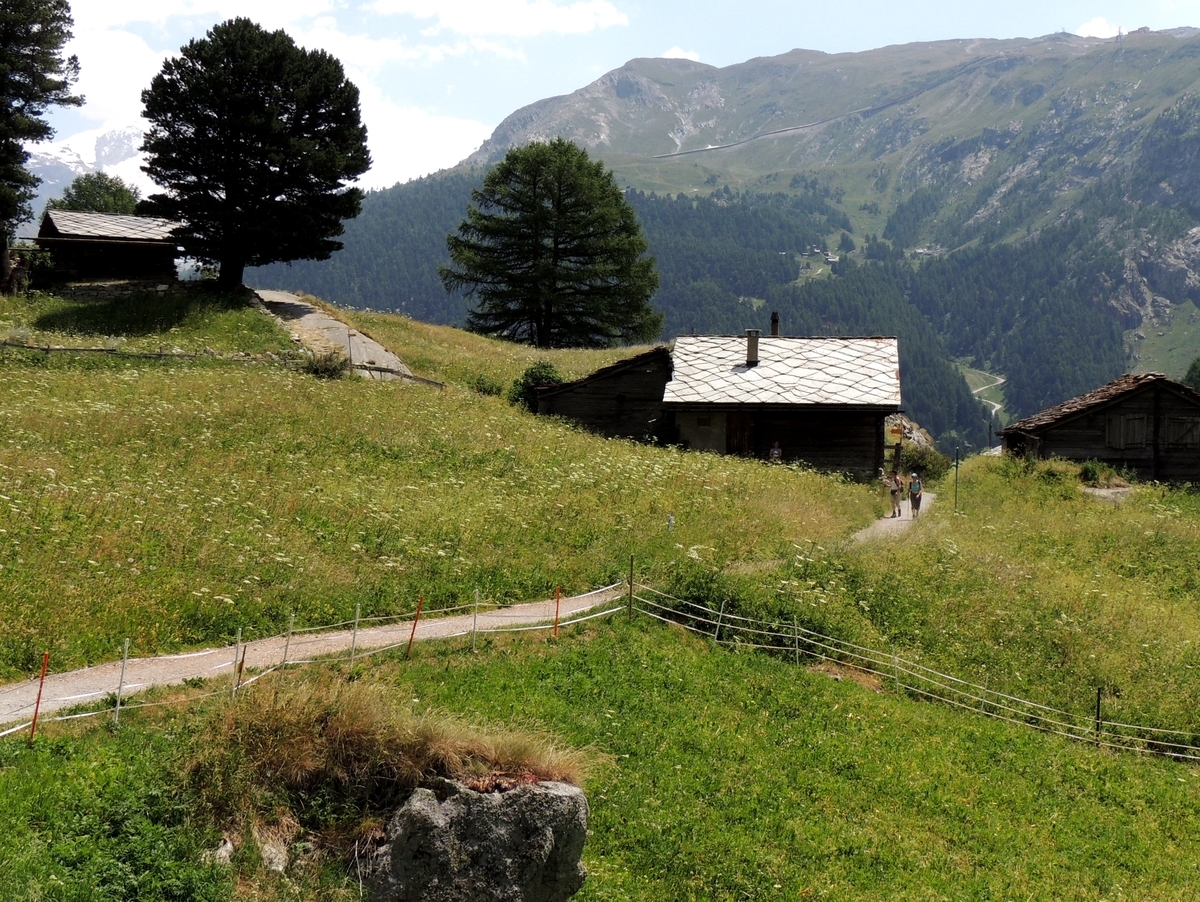 f:id:swiss_suki:20210423132458j:plain