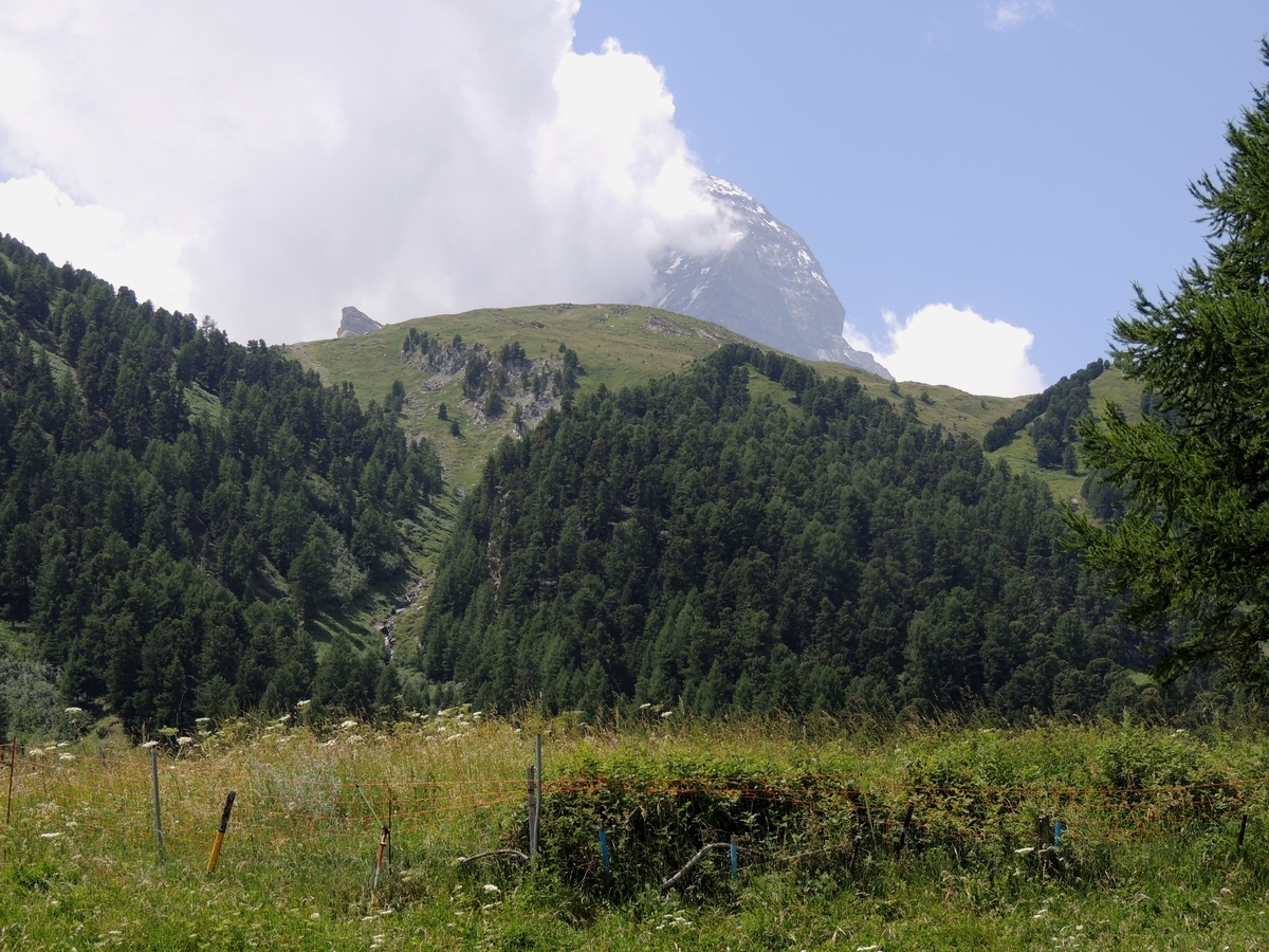 f:id:swiss_suki:20210423132531j:plain