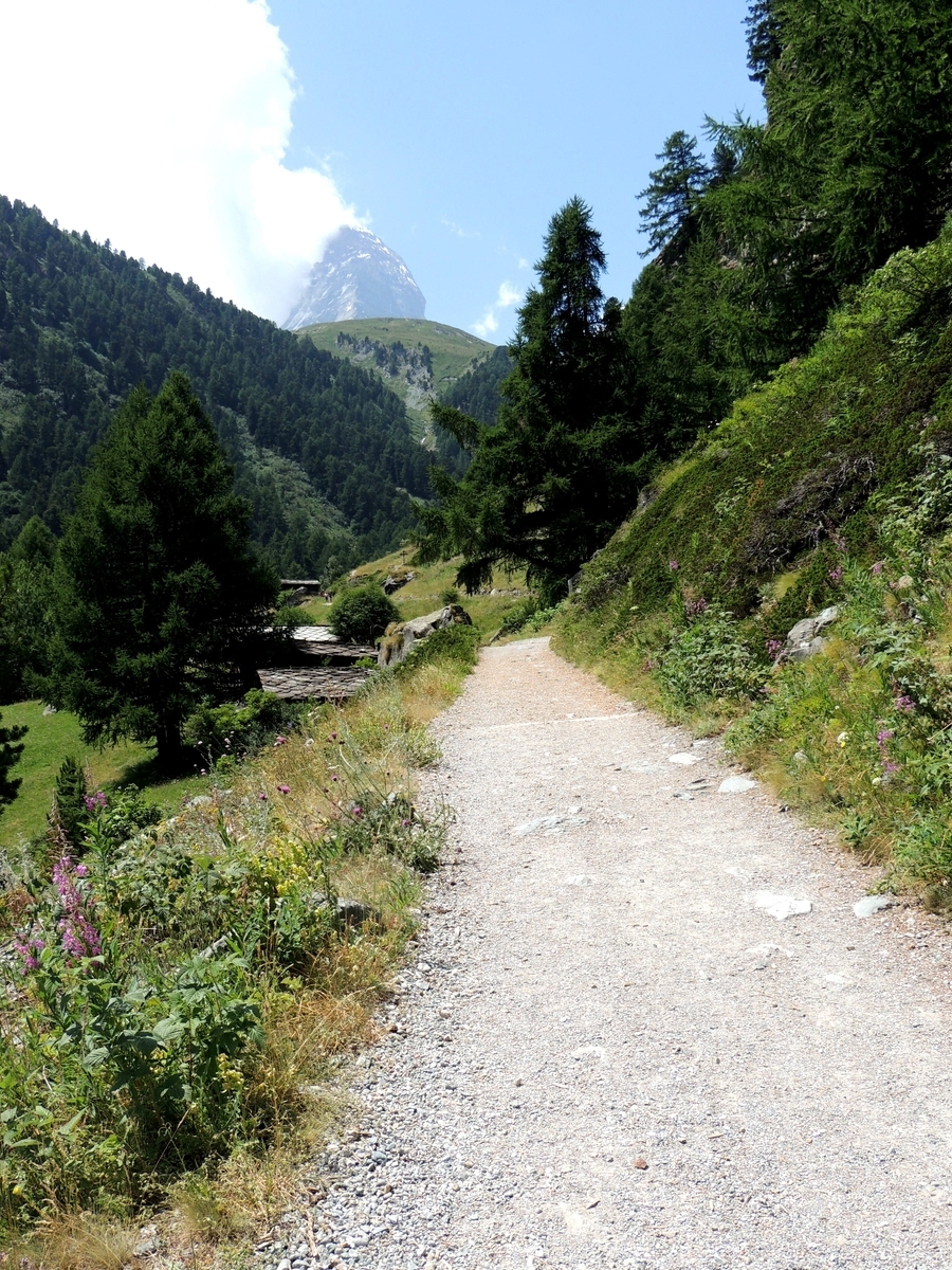 f:id:swiss_suki:20210423132737j:plain