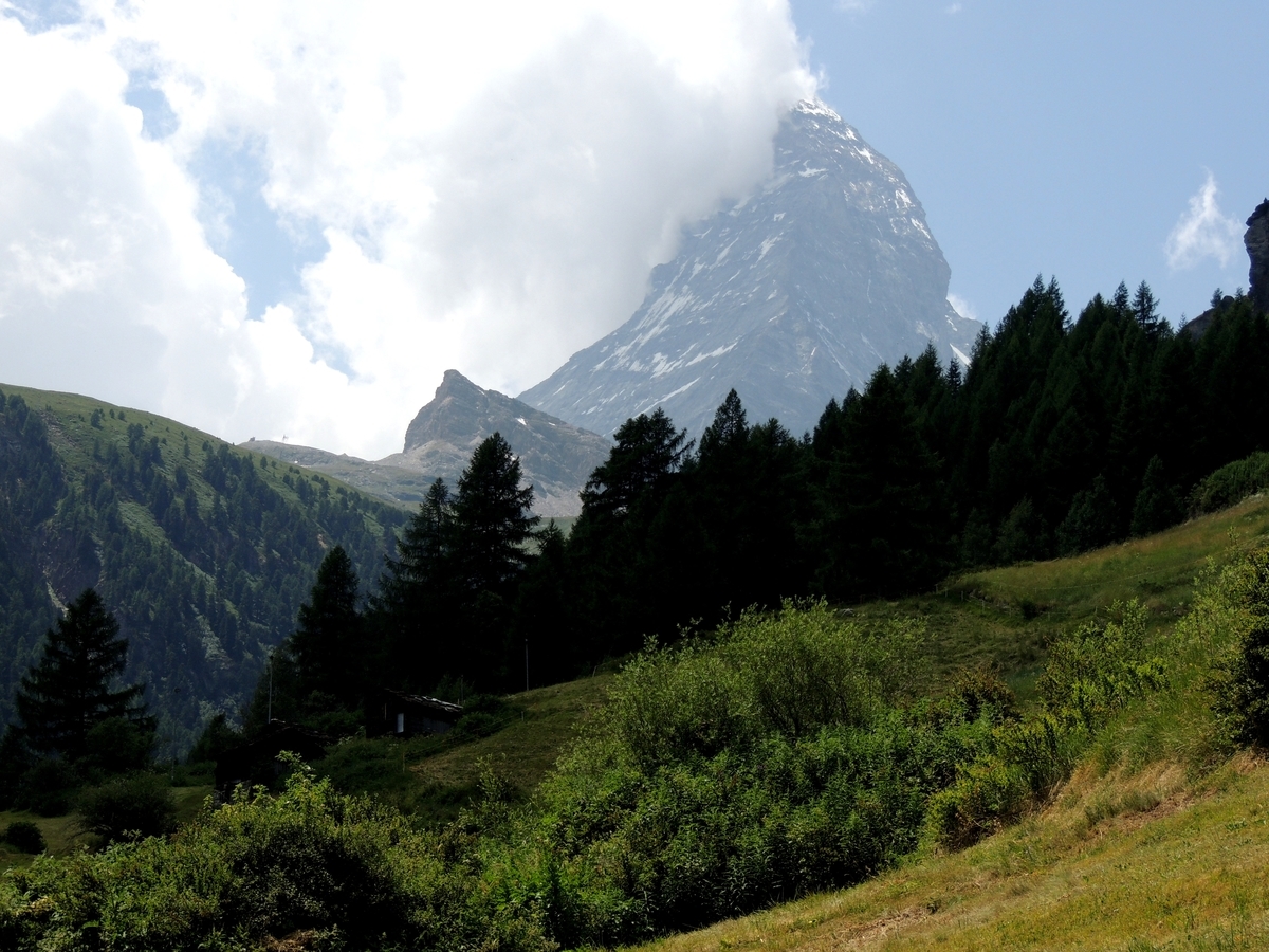 f:id:swiss_suki:20210423132850j:plain