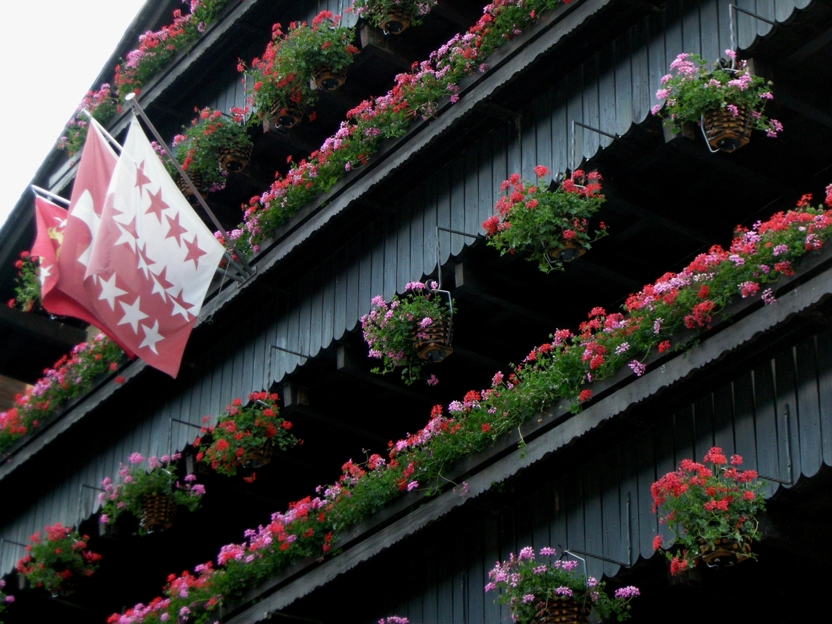 スイス旅 窓辺を飾る Swiss Sukiのつれづれに