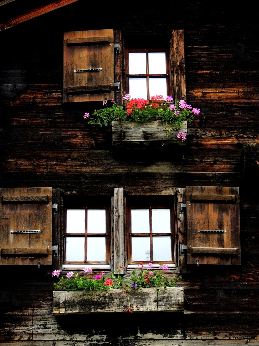 f:id:swiss_suki:20210928162515j:plain