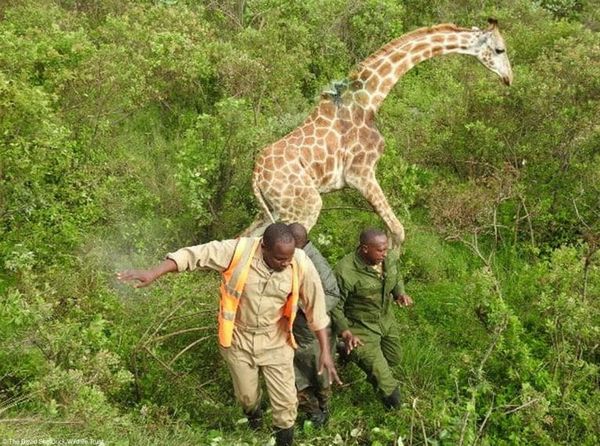 f:id:switch-news:20200317071454j:plain
