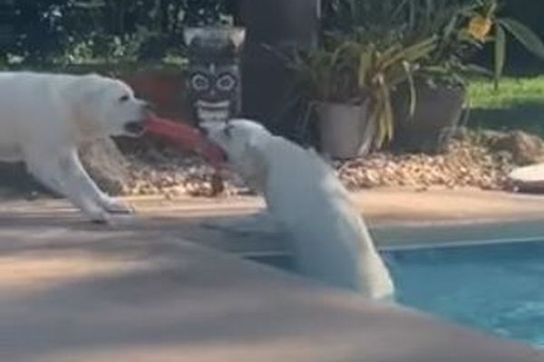 f:id:switch-news:20201012102514j:plain