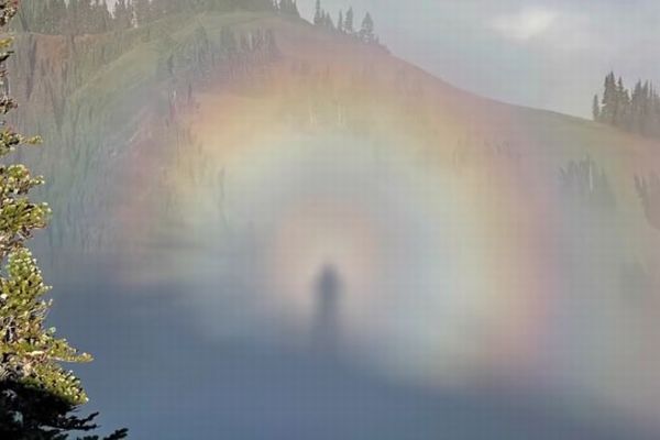 f:id:switch-news:20211024073502j:plain