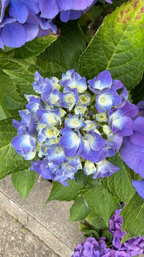 f:id:swnm8:20260701131255j:image